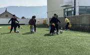 抓尾巴