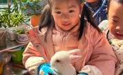 你好，小兔子——记木渎姑苏实幼中1班班本课程