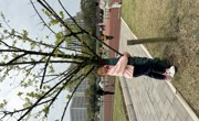寻找春天
