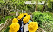 春游山塘记