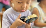 科学活动：照镜子