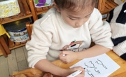 数学：落叶分类