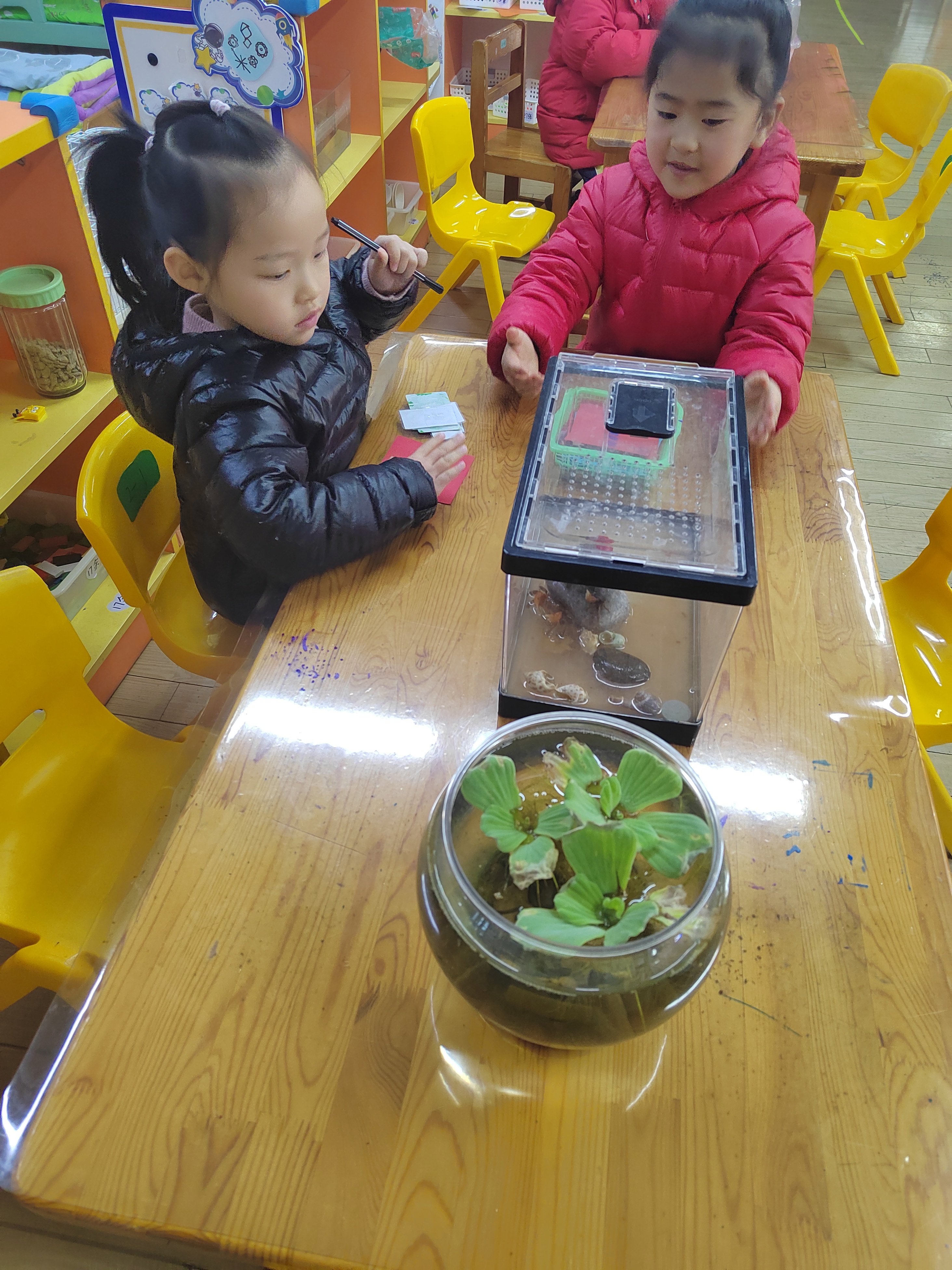 萌宠园 喂食