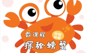 探秘螃蟹 ——木渎姑苏实验幼儿园大2班微课程