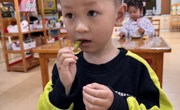 豌豆收获啦！