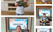 科学活动：玩具车总动员