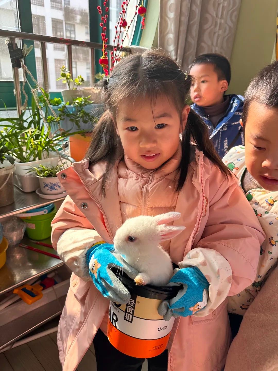 你好，小兔子——记木渎姑苏实幼中1班班本课程