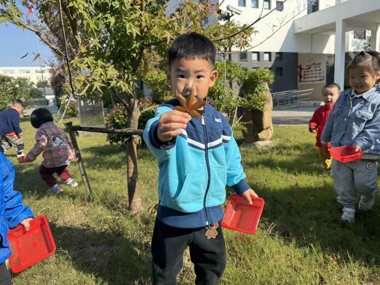 寻秋——拾落叶