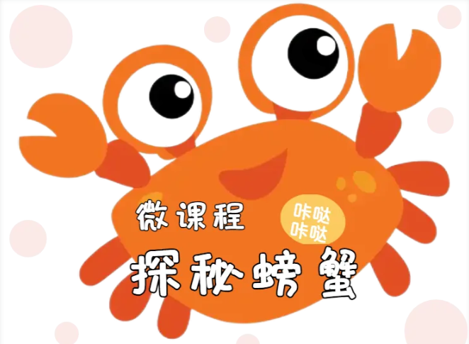 探秘螃蟹 ——木渎姑苏实验幼儿园大2班微课程