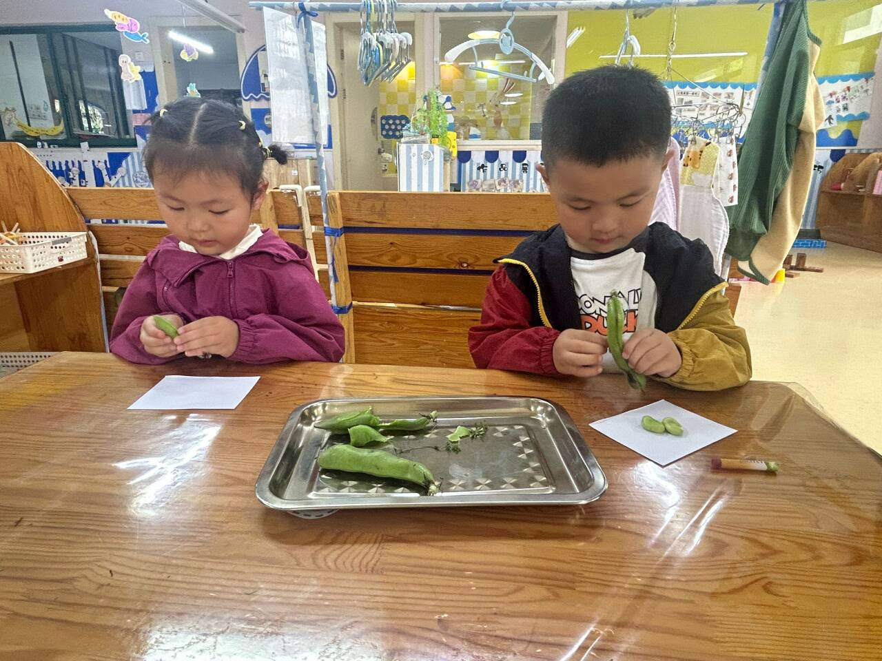 小手剥蚕豆 创意大变身 ——小班年级组自理能力活动