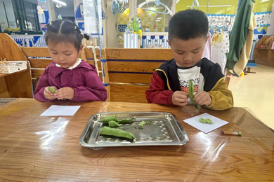 小手剥蚕豆 创意大变身 ——小班年级组自理能力活动