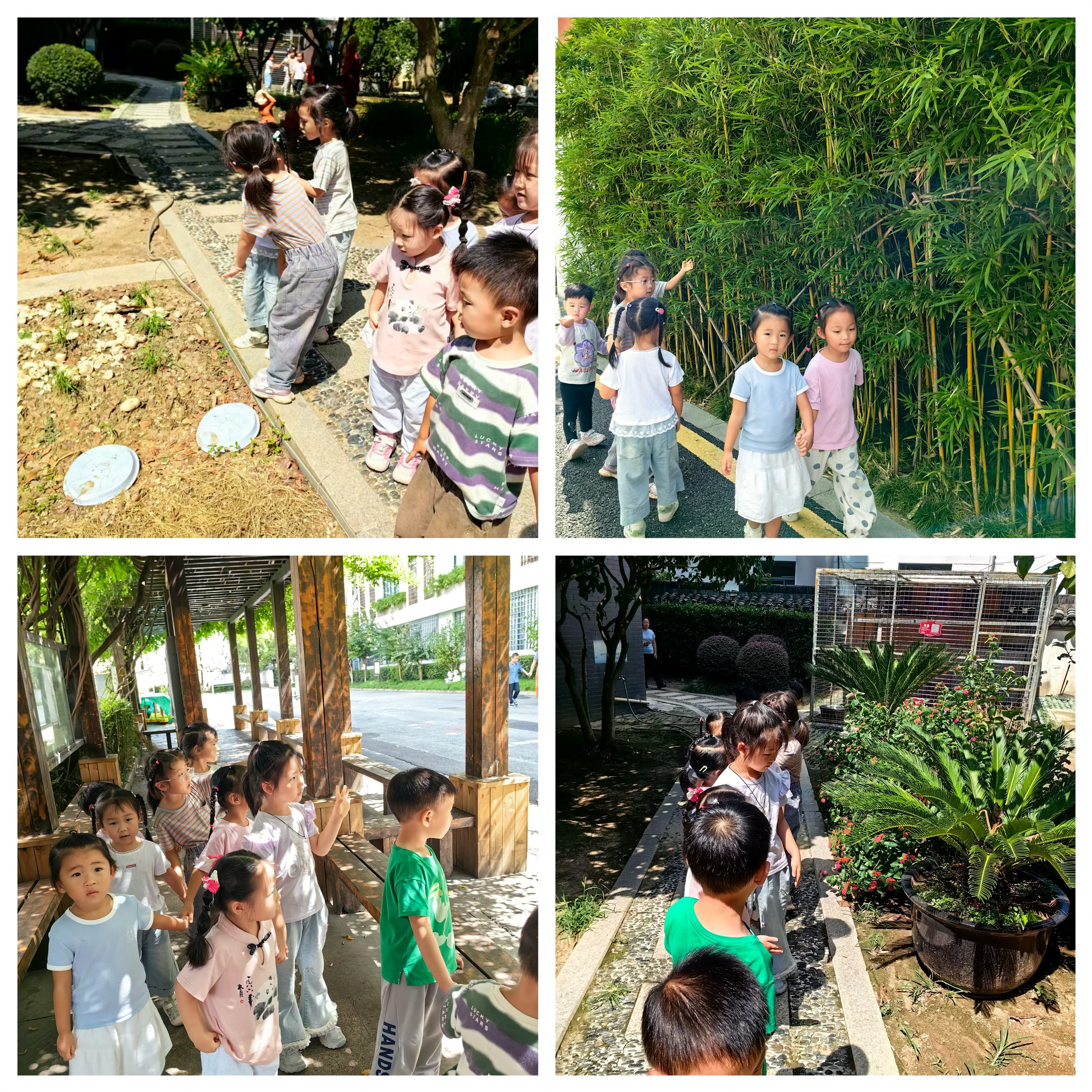 F5B2E059228E6C974F6FF6A1F387D7BD