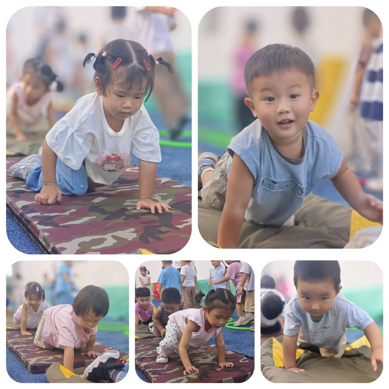 ccc7e8daed23379eadf51c6dbbcd3a1c_720