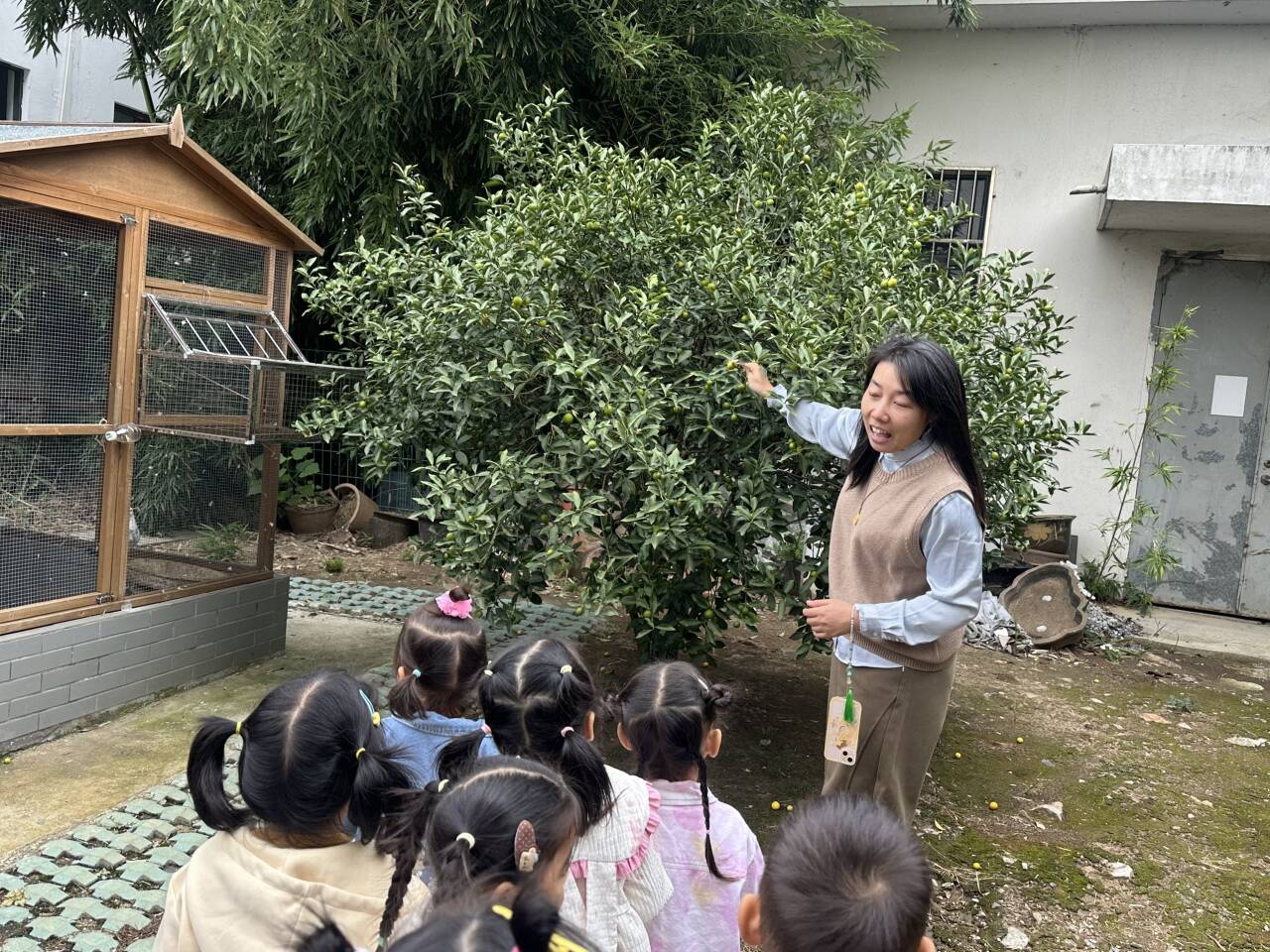 综合活动——寻找秋天