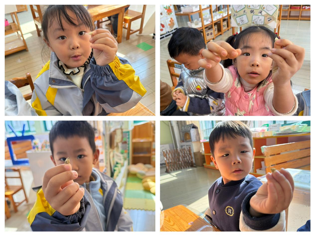 99a394cf093c54bdb8a123ec2e1809ed