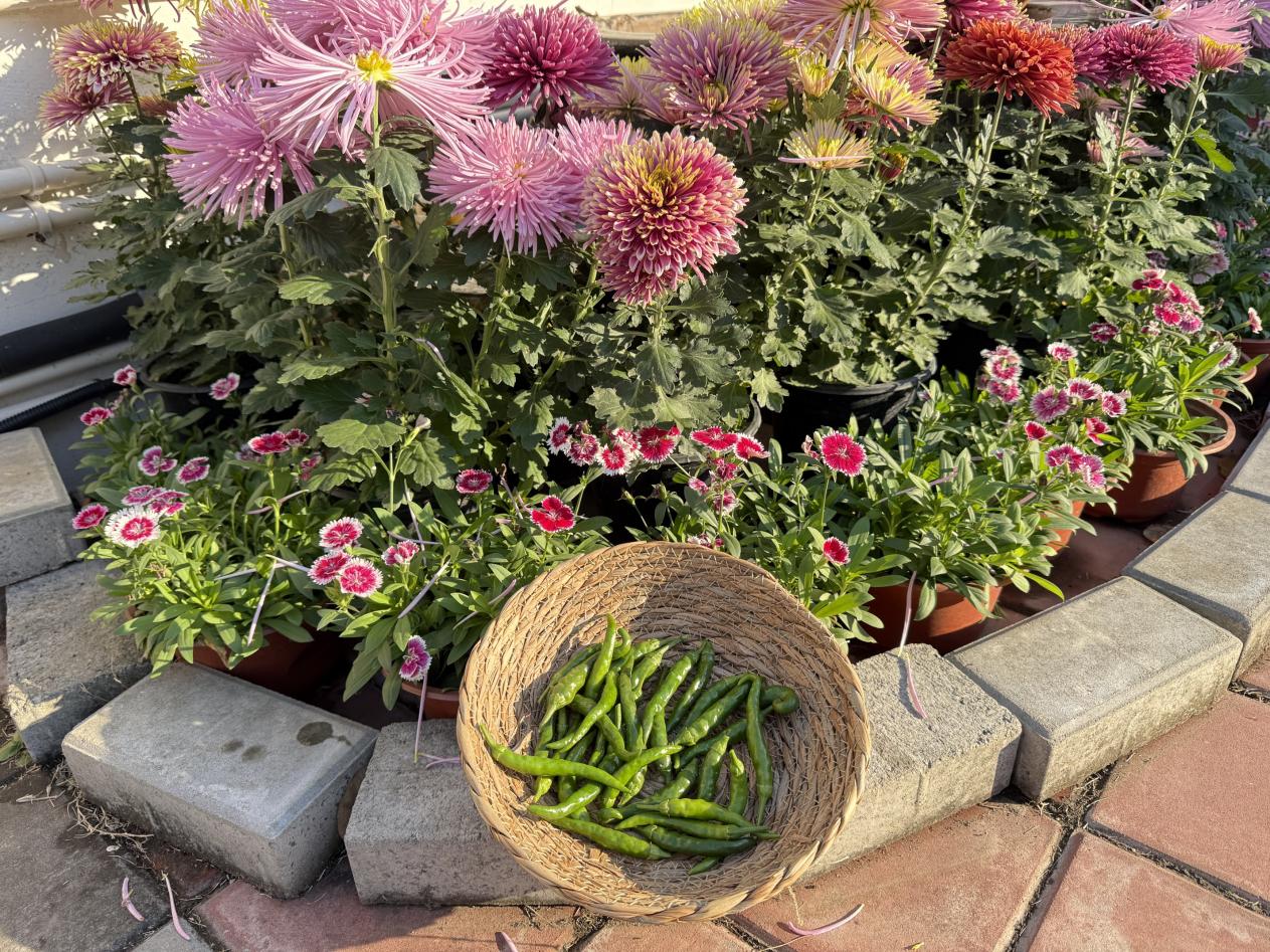 44fc4dec3328de8b73a783c03b376130