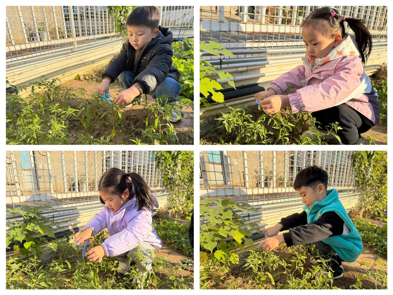 fb5839f8c8cf13c84a4bc1767cbd5fb7