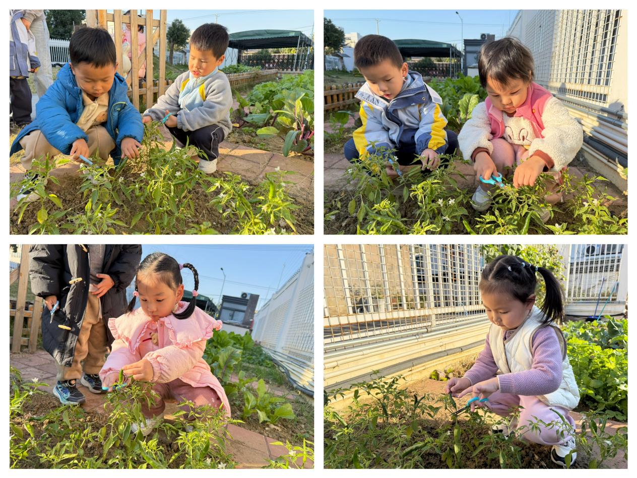 32ae8a42660fd9388bcab446d9ba7aff