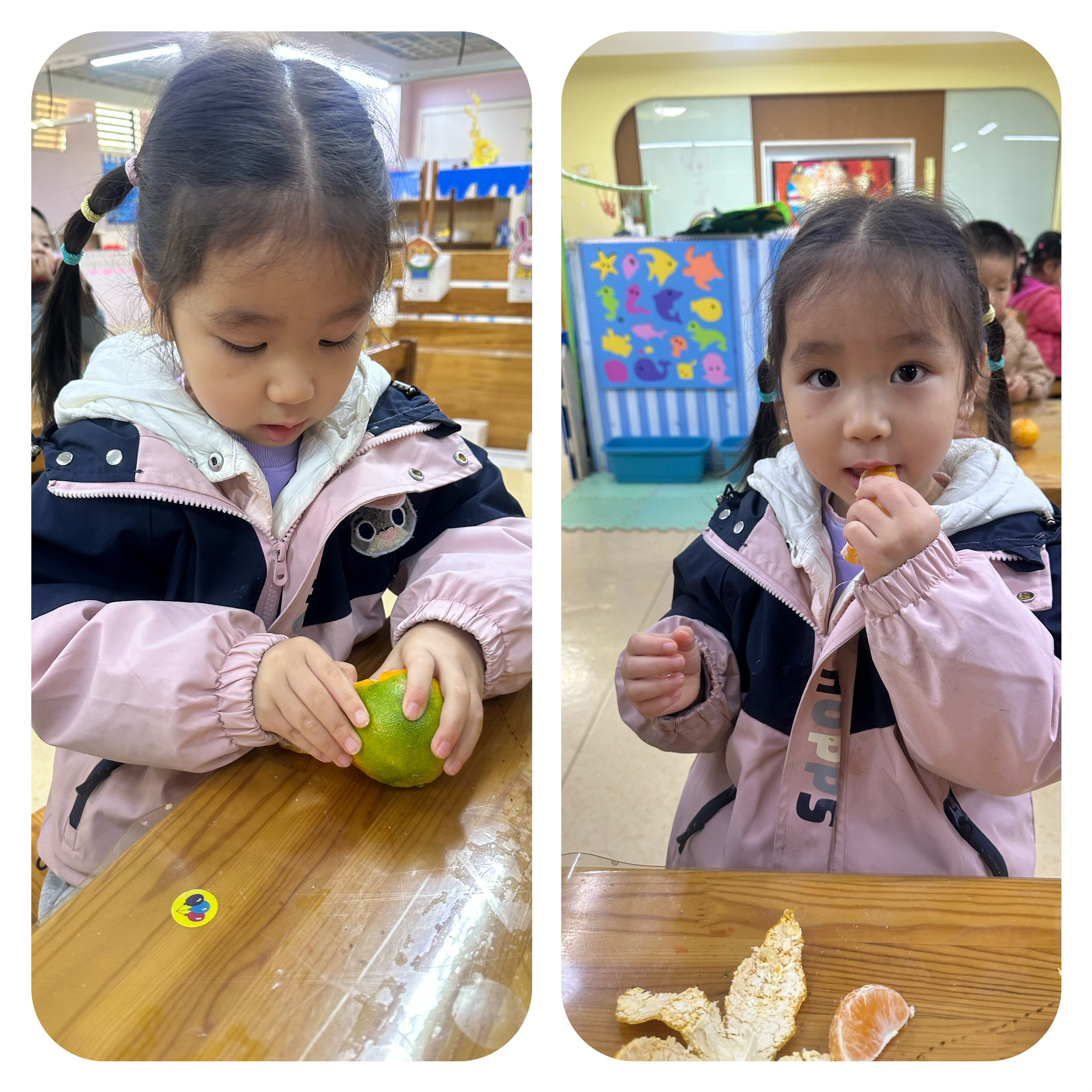 综合活动：又香又甜的橘子