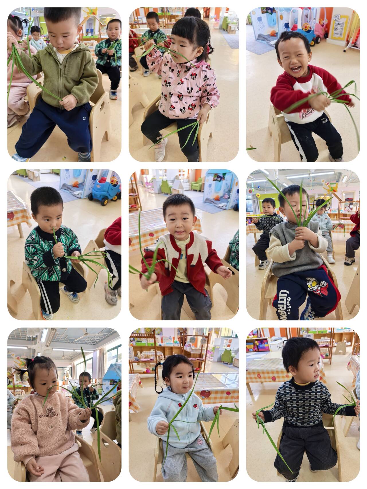 19d2d4dfe23cb32341cc6c1047bab4d6_720