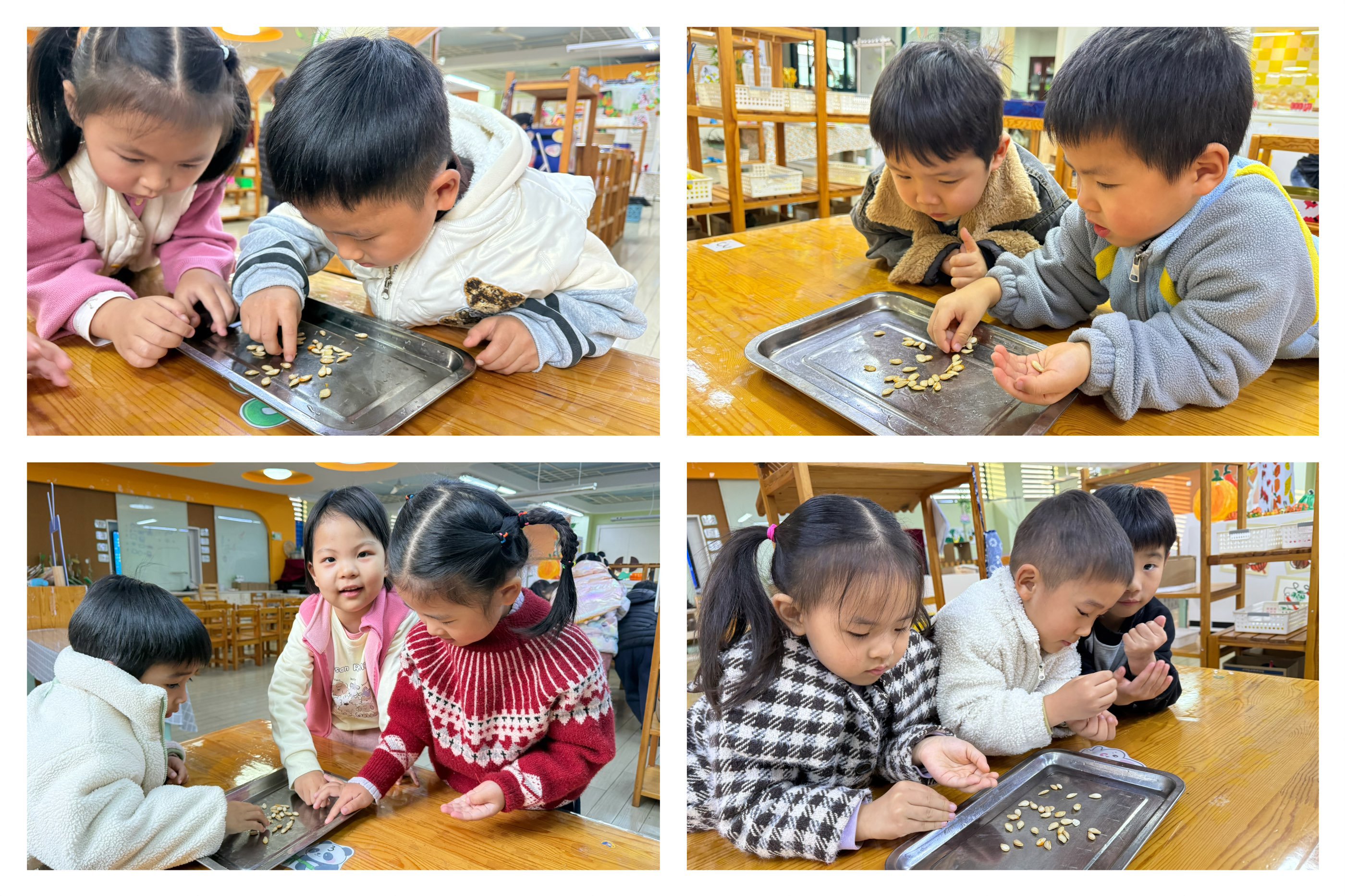 88ea278dbbe11a52965a2a315611b237