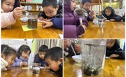 科学活动：会跳舞的墨汁