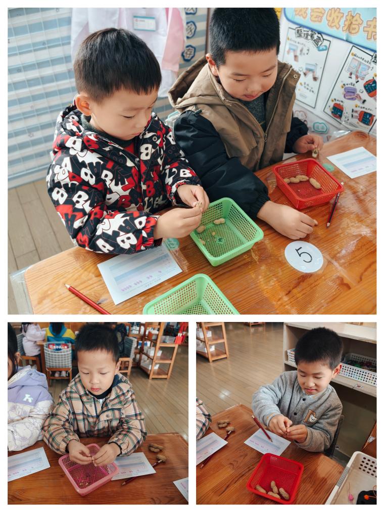 大班数学：剥花生