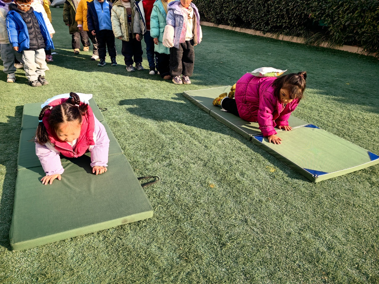 体育：小蚂蚁运粮食
