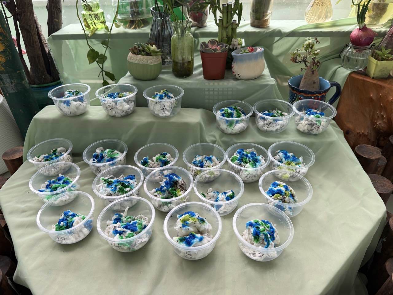 春社日之种下一个地球