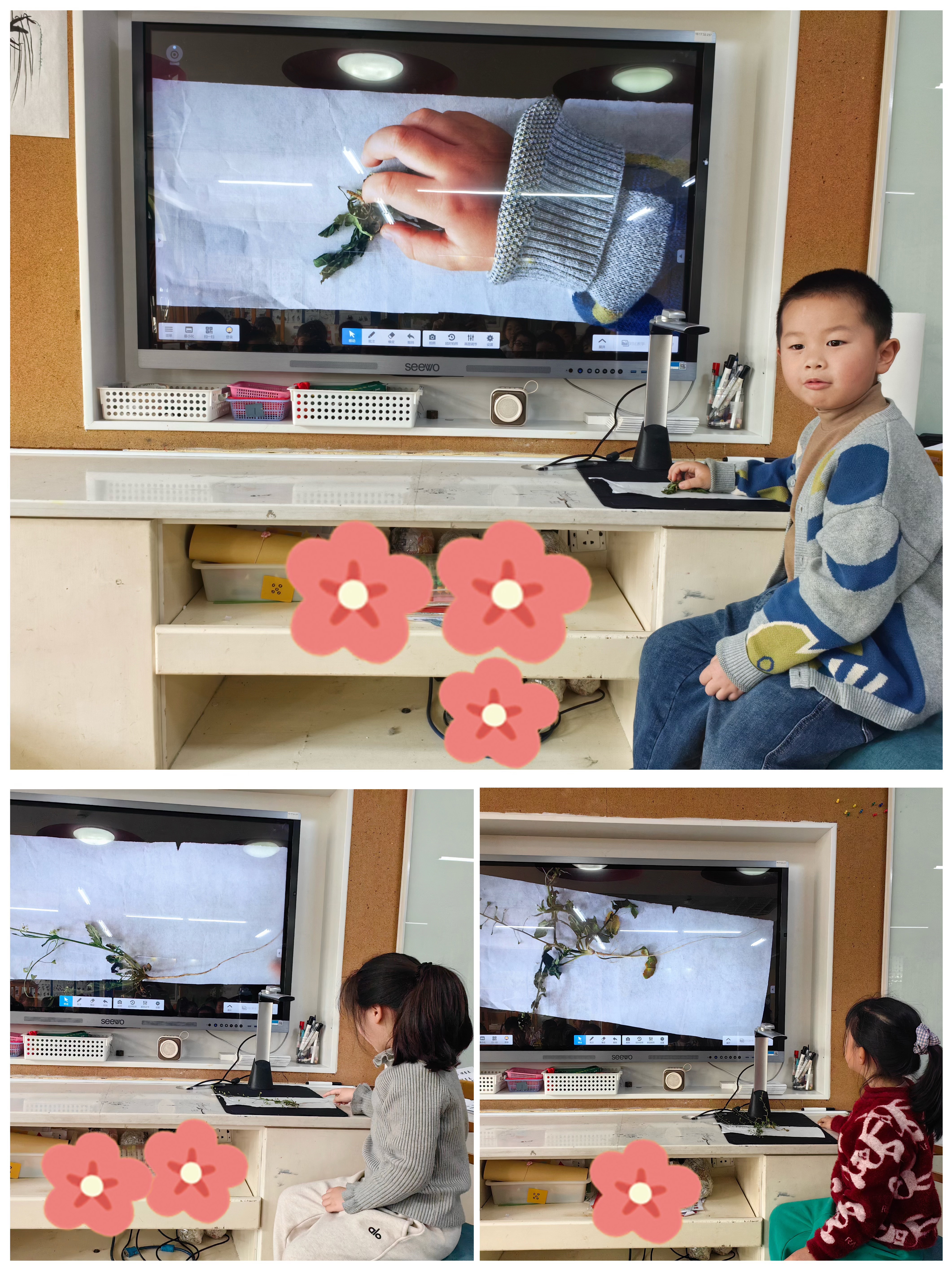 科学活动：荠菜香香