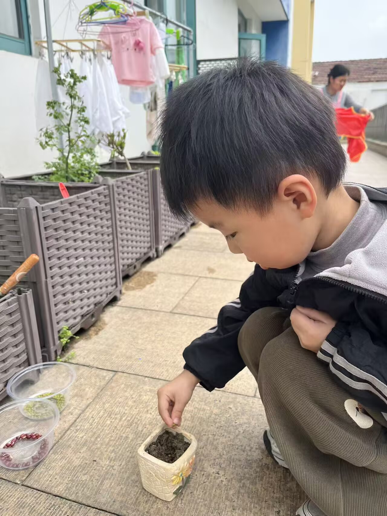 春种