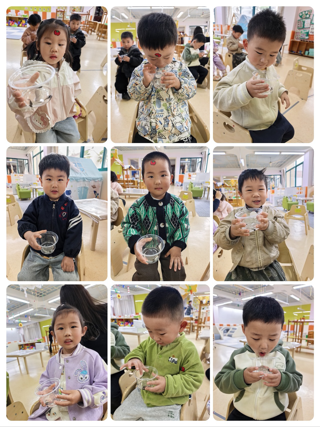 科学活动：观察小蝌蚪