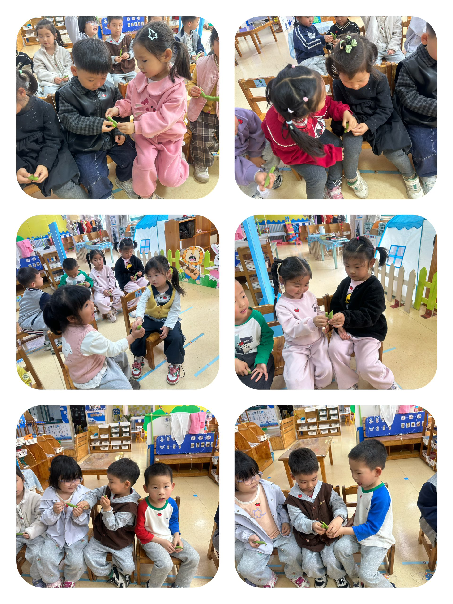 春日农耕小体验