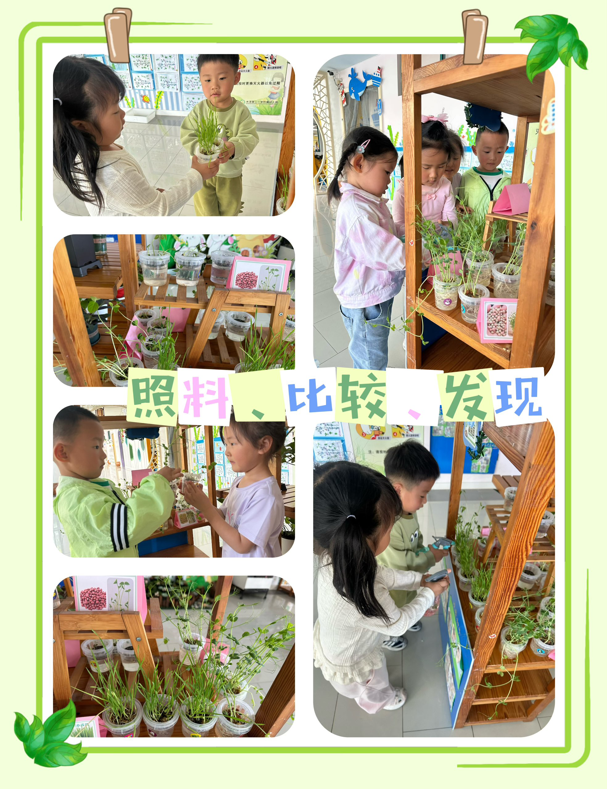 呵护绿植，守护成长