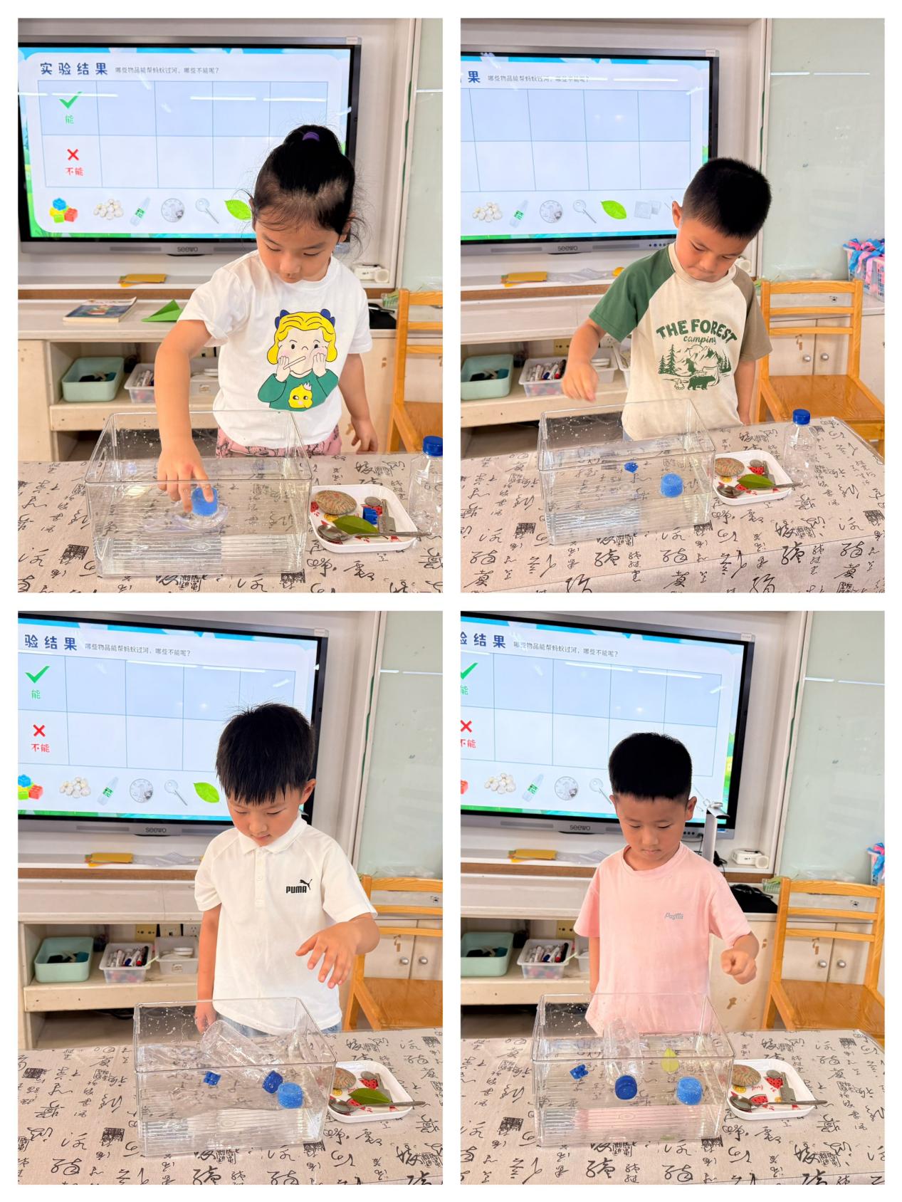科学活动：沉浮