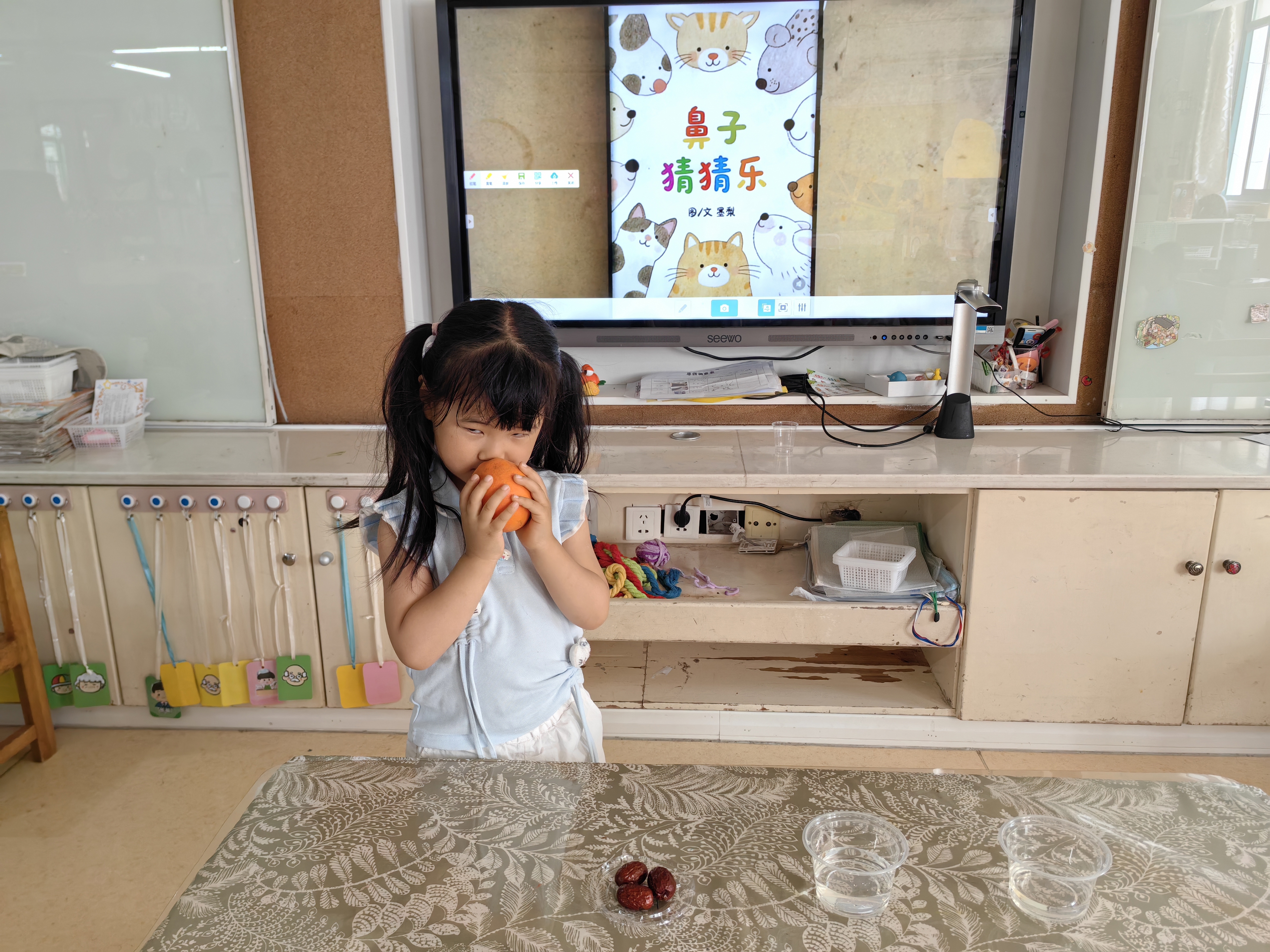 科学活动：鼻子猜猜乐